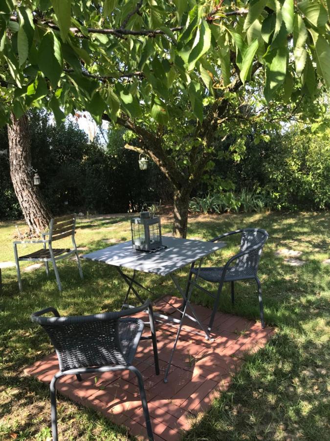 Le Jardin De La Cite Bed and Breakfast Carcassonne Exteriör bild