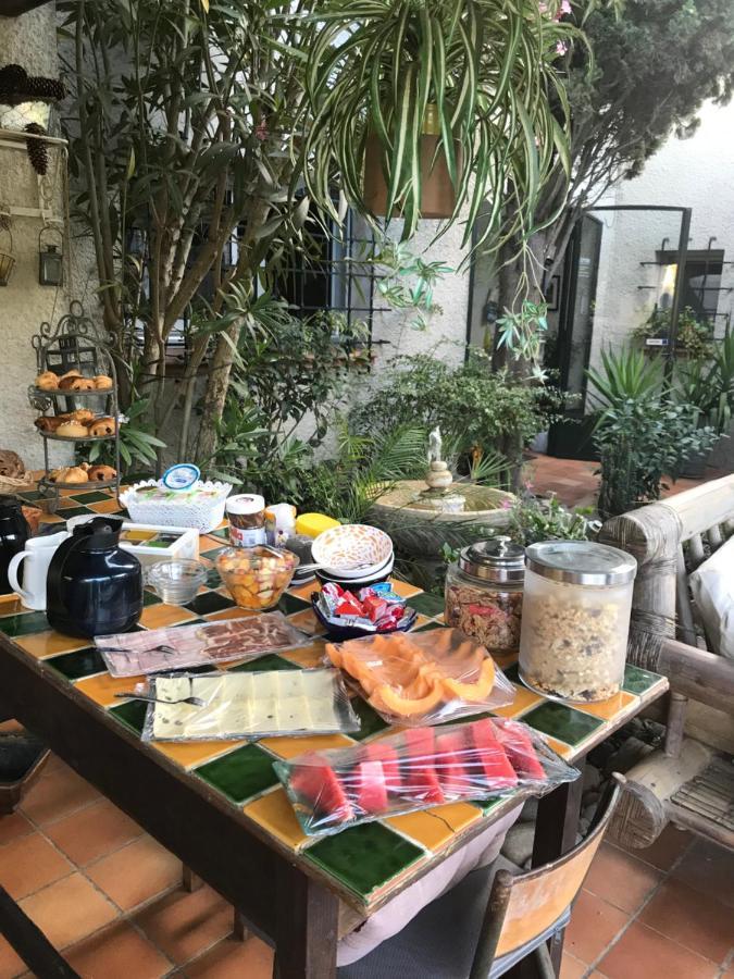 Le Jardin De La Cite Bed and Breakfast Carcassonne Exteriör bild