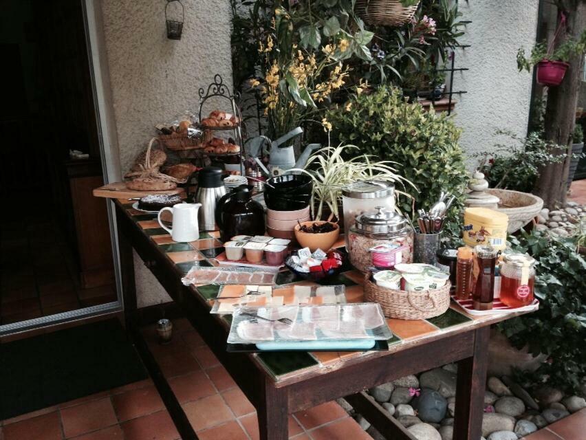 Le Jardin De La Cite Bed and Breakfast Carcassonne Exteriör bild